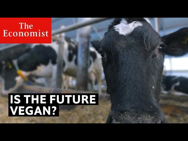 How could veganism change the world?
