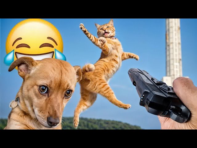Cute animal Videos That You Just Can't Miss😻🐕‍🦺Part 7