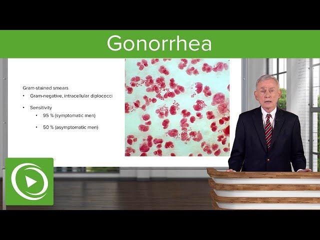 Gonorrhea – Infectious Diseases | Lecturio