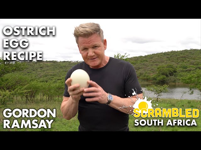 Gordon Ramsay Makes OSTRICH Scrambled Eggs In South Africa | Scrambled
