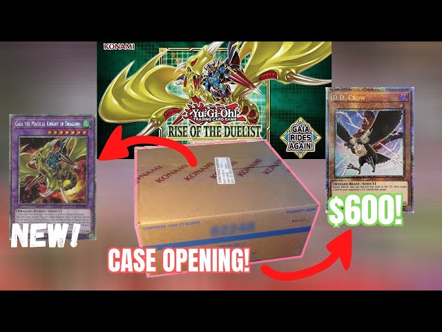 THIS WAS THE BEST CASE EVER (NOT CLICKBAIT)! $2,000 Rise of the Duelist Yugioh Cards CASE OPENING!