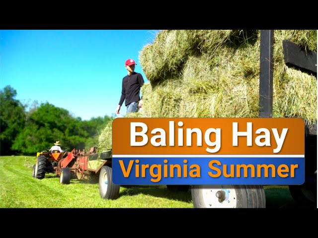 Cutting, tedding, raking and baling hay