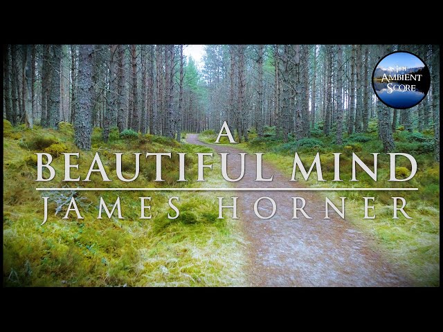 A Beautiful Mind | Calm Continuous Mix