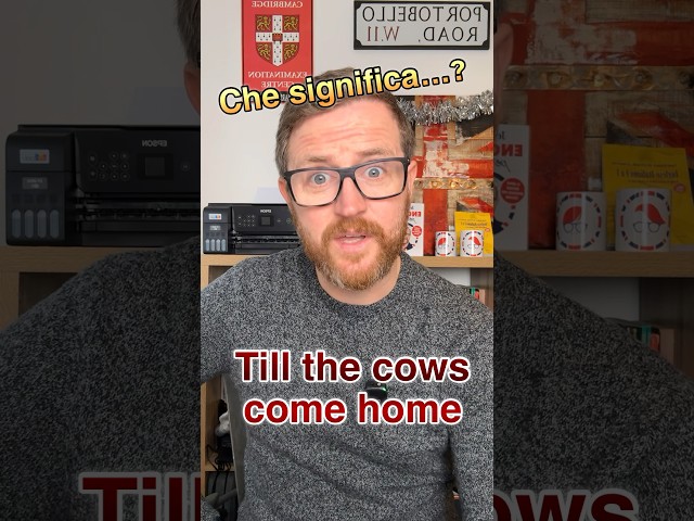 🐄🏠 Che significa ‘Till the cows come home’ in 🇬🇧? #shorts