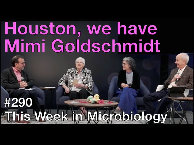 TWiM 290: Houston, we have Mimi Goldschmidt