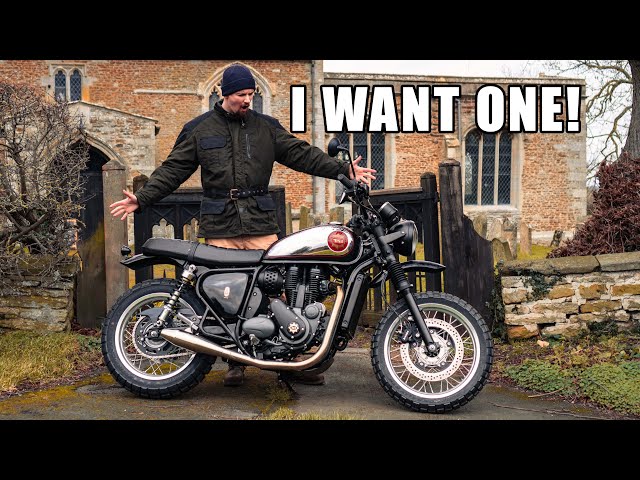 This Could Be It! This BSA is Possibly The Best New Scrambler On Sale Today [BSA Scrambler 650]