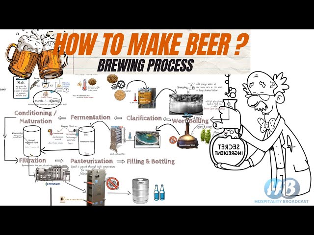 Beer Making Process (step by step)/ Brewing Process/ Beer Manufacturing/ Alcoholic Beverage/