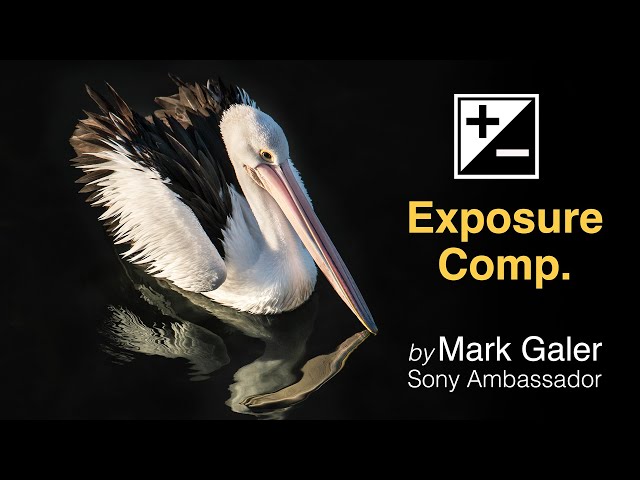Exposure Compensation when using Sony Alpha Cameras