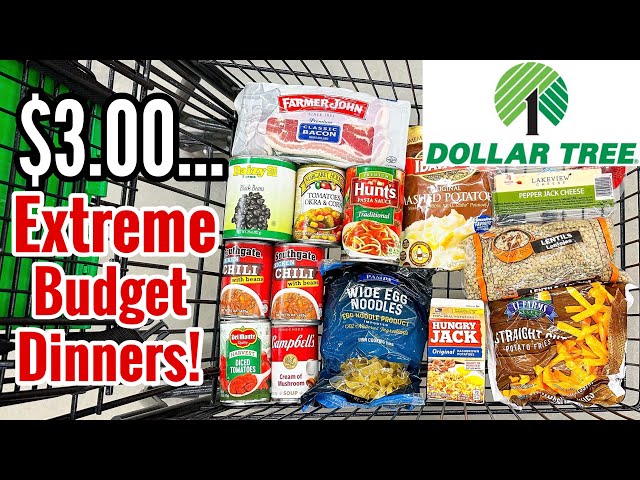 $3 EXTREME GROCERY BUDGET MEALS | 7 Dinners For $25 | Quick & EASY Cheap Recipes | Julia Pacheco