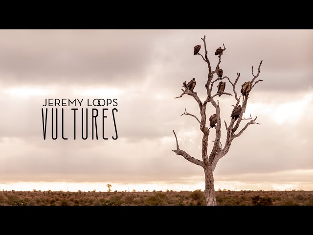 Jeremy Loops - Vultures (Official Audio)