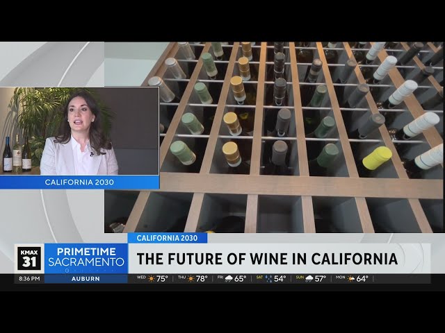 California 2030: Northern California's wine industry