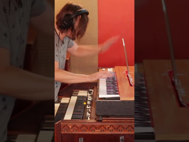 Creamy Pitch Bending Clavinet SOLO by Lachy Doley #shorts