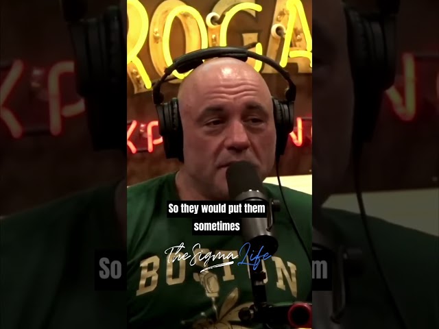 How BRUTAL and RUTHLESS the MONGOLS Were - Joe Rogan