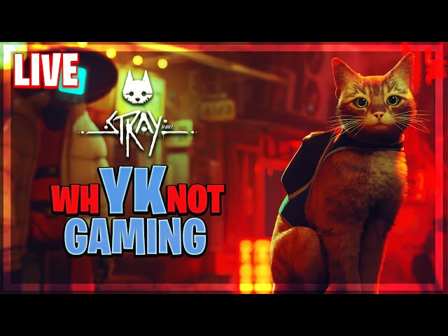Stray - A Pussy Cat's🐈 Journey | 🎮 Live Gameplay Part-1 🎮 |  Multilingual Streamer
