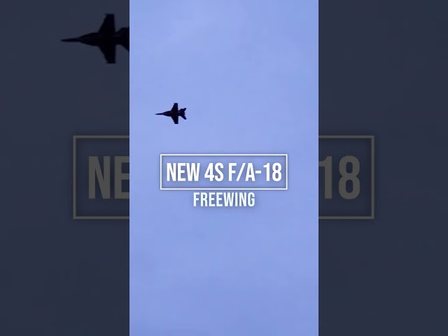 The upgraded 4S F/A-18's from Freewing really rip!