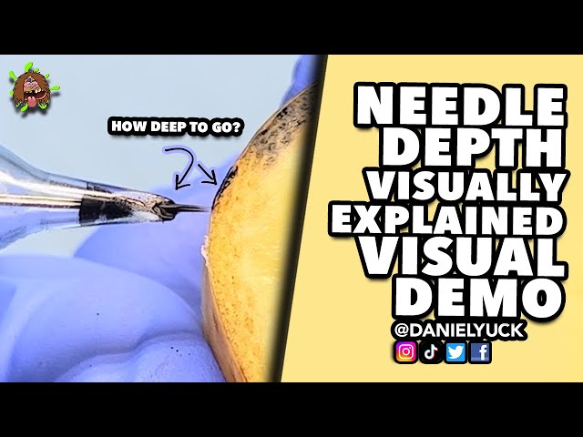 Needle Depth Visually Explained-Tattooing 101