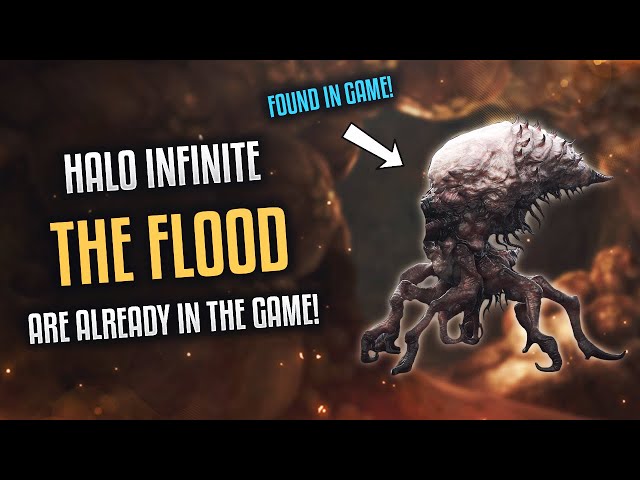 THE FLOOD ARE ALREADY IN HALO INFINITE!