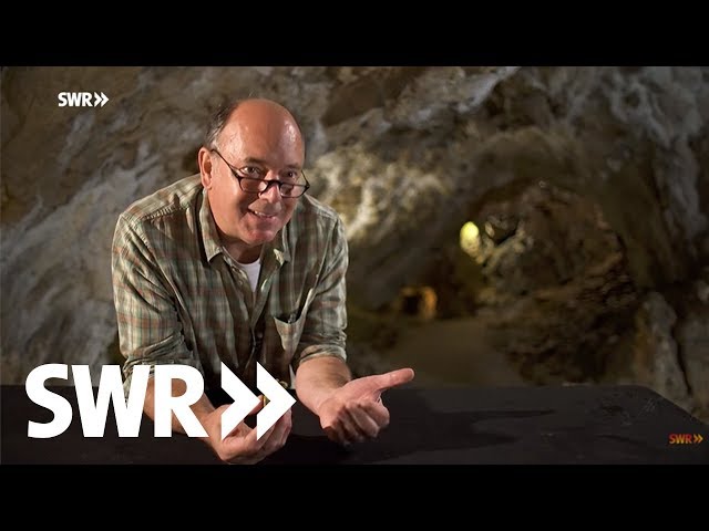 Archäologie erleben - Mission Eiszeit | SWR Geschichte & Entdeckungen