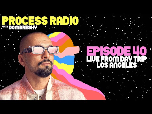 Dombresky Live from Day Trip Festival 2023 - Process Radio #40