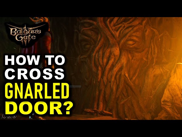 How to Go Through the Locked Gnarled Door - Save Mayrina Quest | Baldur's Gate 3 (BG3)