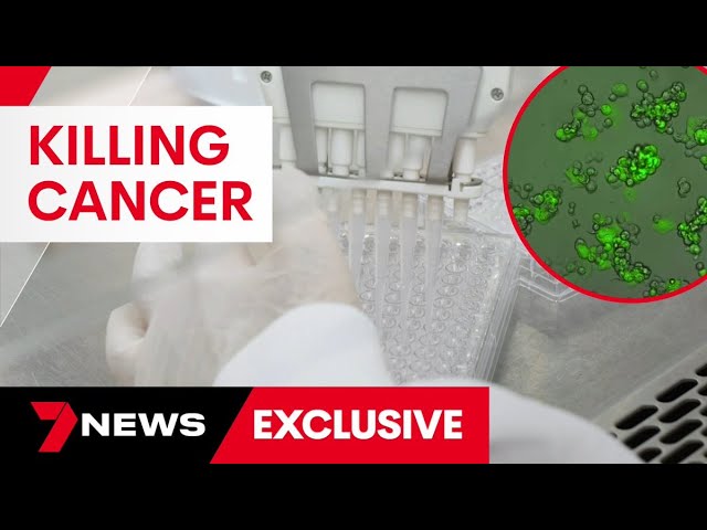 Australian company saving lives using a cancer eating virus | 7 News Australia