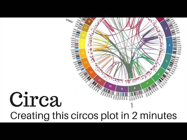 Creating this circos plot in 2 minutes with Circa's new features