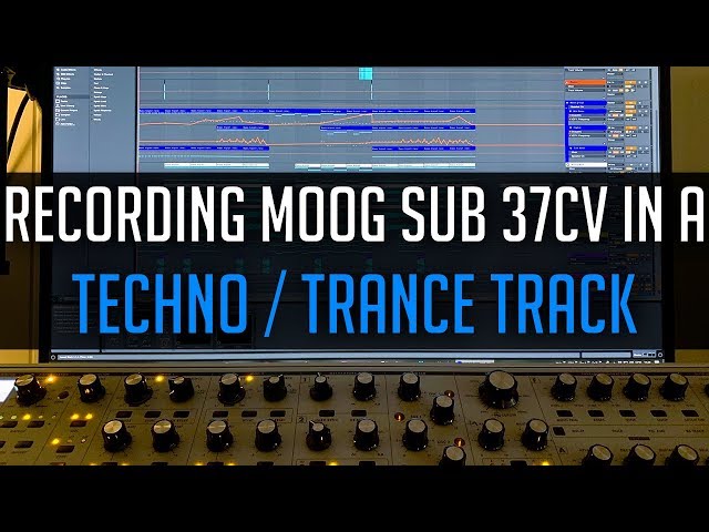 Recording Moog Sub 37CV in a Techno / Trance Track (BjoKib - Little Birdies)