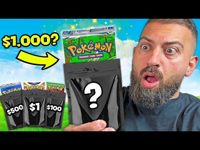 These Pokemon Mystery Bags Have $1 OR $1,000 Packs Inside!