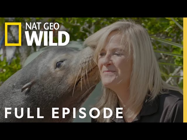 Tunnel of Love (Full Episode) | Secrets of the Zoo