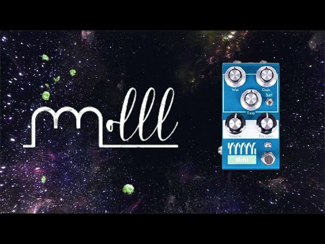 Molll - Mini - Analog Spring Reverb (with a tank!)