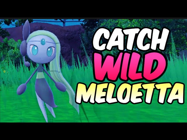 Catch a WILD Meloetta NOW in Pokemon Scarlet Violet DLC