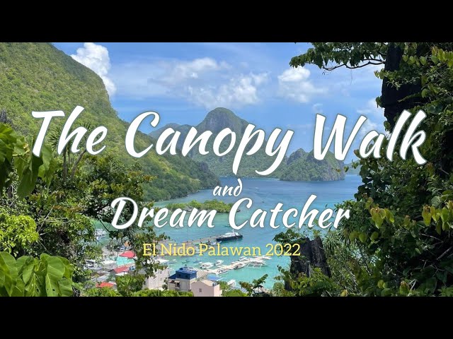 The Canopy Walk/ Dream Catcher Courses to do @ Bayan City Palawan 2022
