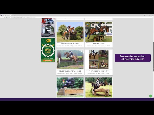 Browsing HorseQuest.co.uk