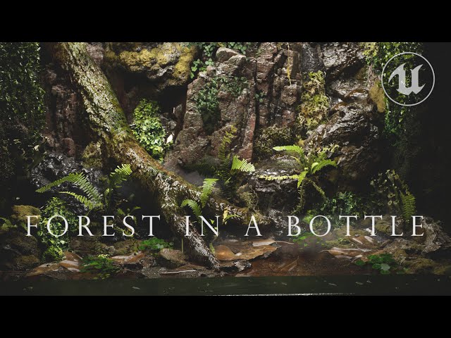 Jungle Waterfall in UNREAL ENGINE 5 – Forest in a Bottle: A UE5 Cinematic