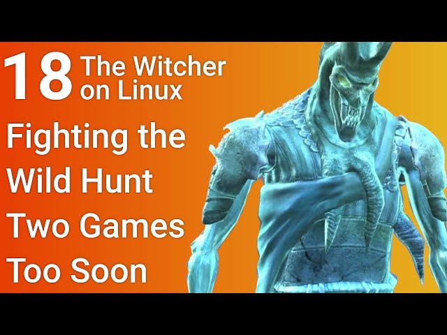 Fighting the Wild Hunt two games too soon - The Witcher on Linux - Part 18
