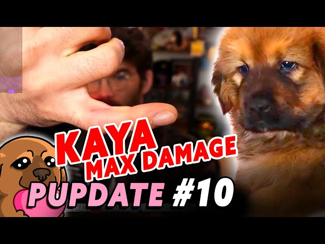 Why ANNE is Kaya's Chew Toy Hasanabi finds out | PUPDATE #10