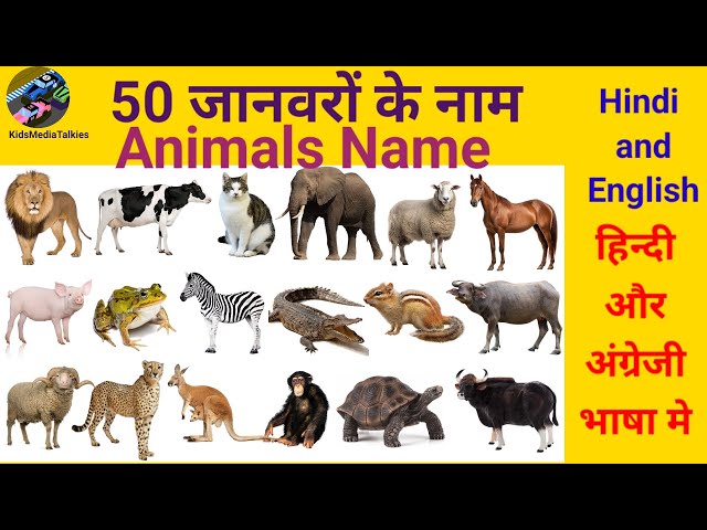 Animals Name |50 जानवरों के नाम|English To Hindi Vocabulary #animals #nameofanimals #learn