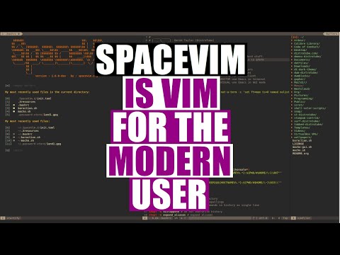 A First Look At SpaceVim