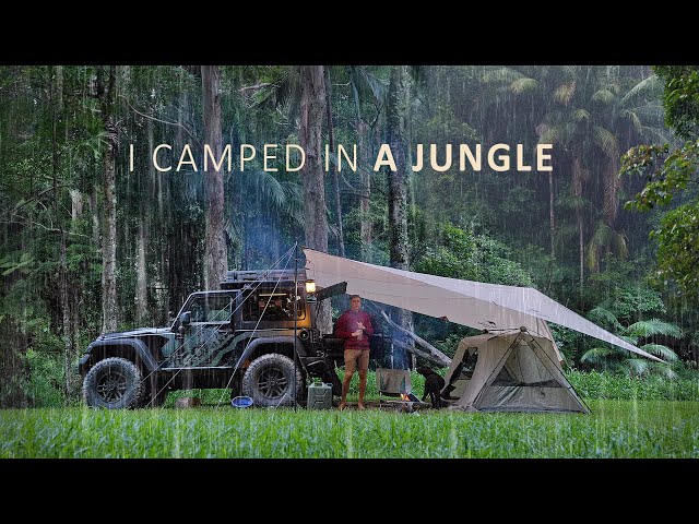 Relaxing in Tropical HEAVY RAIN [ Solo Camping Shelter in a Jungle, long ASMR ]