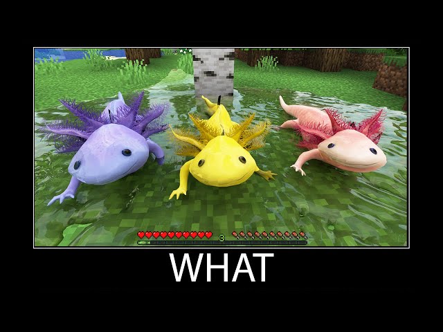 Minecraft wait what meme part 100 realistic minecraft axolotl