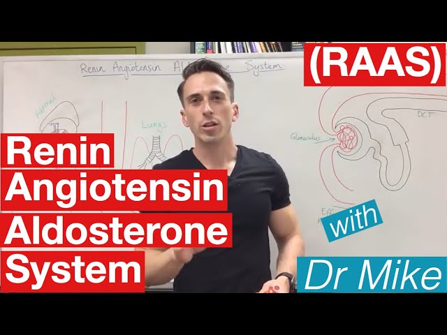 Renin Angiotensin Aldosterone system