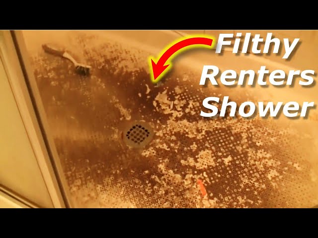 Tenants From Hell Damaged Condo Like Section 8 Renters