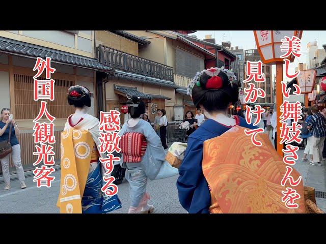 2023年9月29日 京都祇園 美しい舞妓さんを見かけて感激する外国人観光客 Maiko in Gion, Kyoto 【4K】