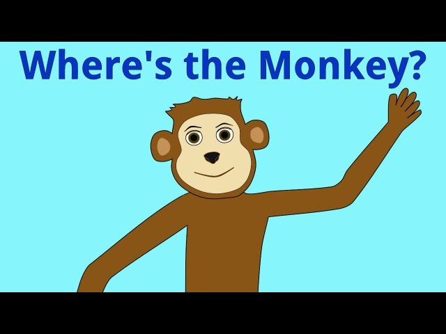Where's the Monkey?