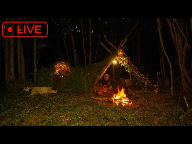 Live Stream from my Survival Shelter