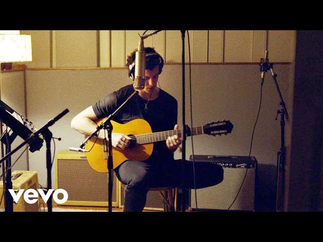 Shawn Mendes - Can’t Imagine (Official Music Video)