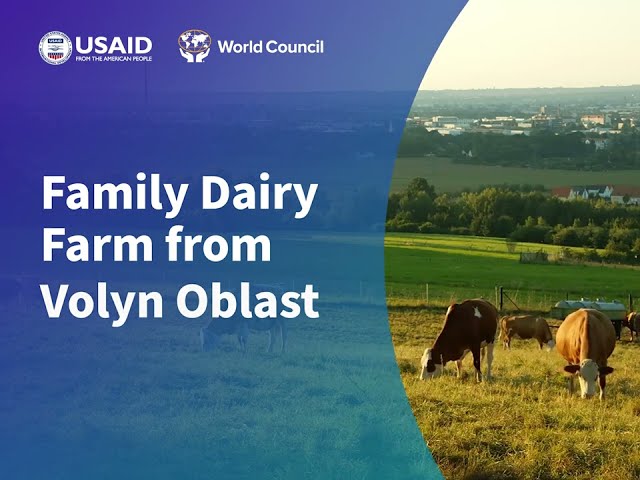 Ukraine CAP Project: Family Dairy Farm Grows Business Despite War with Credit Union Financing