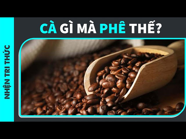 Một số kiến thức chung về cà phê - Phần 1 | Minh | KHOA HỌC