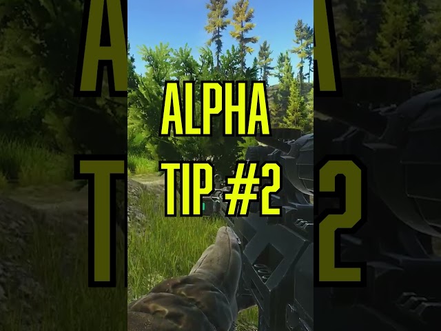 Alpha TIPS that WILL save your LIFE