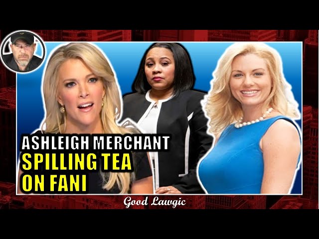 The Following Program: Ashleigh Merchant's GREAT Interview With Megyn Kelly Exposed A LOT of Details